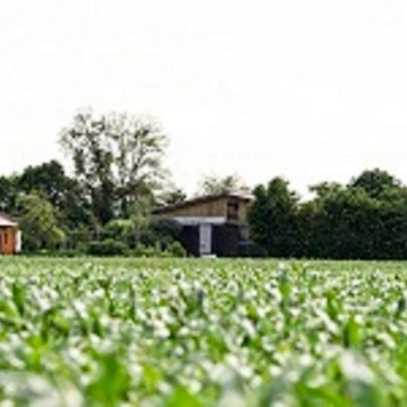 Ferienwohnung Demeterhof Dünninger Hofheim in Unterfranken Exterior foto